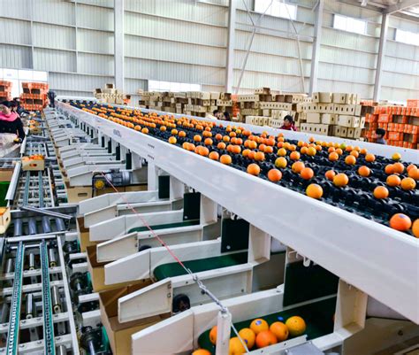 柑橘类水果出口申报指南（资质要求、通关流程和国外准入）-关务小二 - 企业通关好帮手