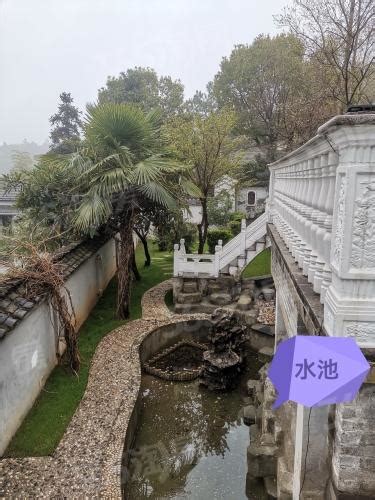 “美翻了，我的村第三季”：水塘变景观，悠然见南山---中国文明网