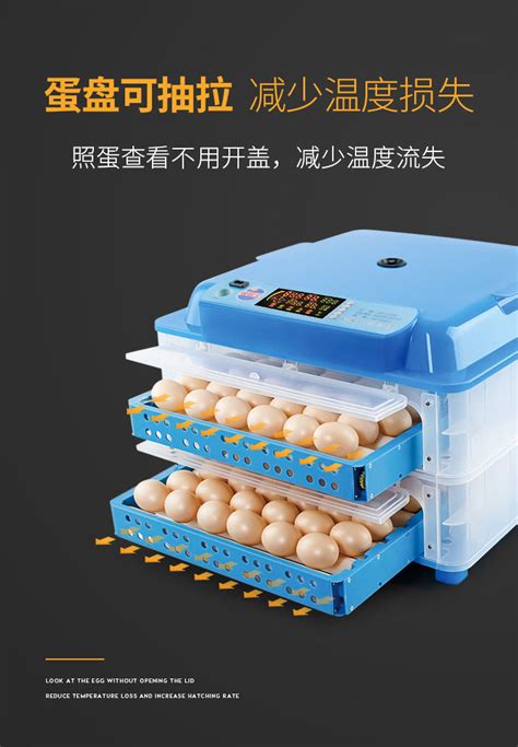 小鸡孵化器家用小型孵化机全自动智能孵小鸡的机器孵蛋器孵化设备-阿里巴巴