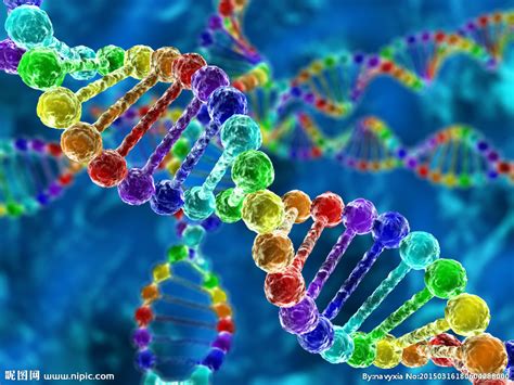 基因DNA设计图__科学研究_现代科技_设计图库_昵图网nipic.com
