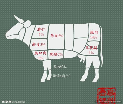 牛肉分布图图片