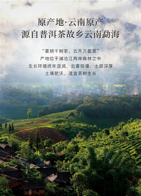 直播带动营销宣传 茶叶助力廉江农业高质量发展-新华网
