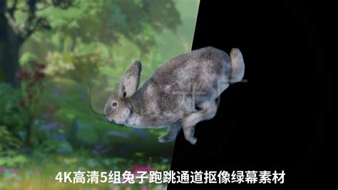 【蹦蹦跳跳新年到】春节动物世界模板素材下载-千图网