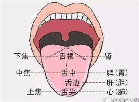西安交通大学口腔医院完成20天新生儿舌系带激光修整术_患儿_疫情_董宁