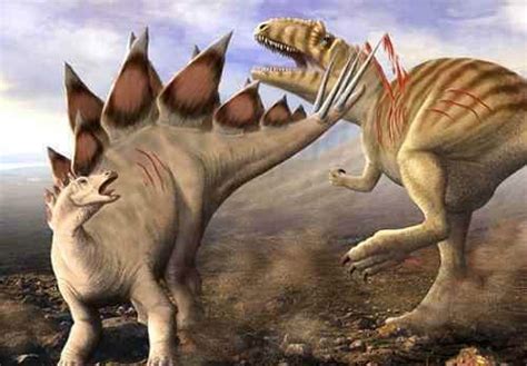 六种时期的霸王龙，你觉得哪个最凶猛？幼年时期到进化时期全过程#恐龙之王霸王龙#神奇动物#史前巨兽#远古生物#霸王龙_腾讯视频