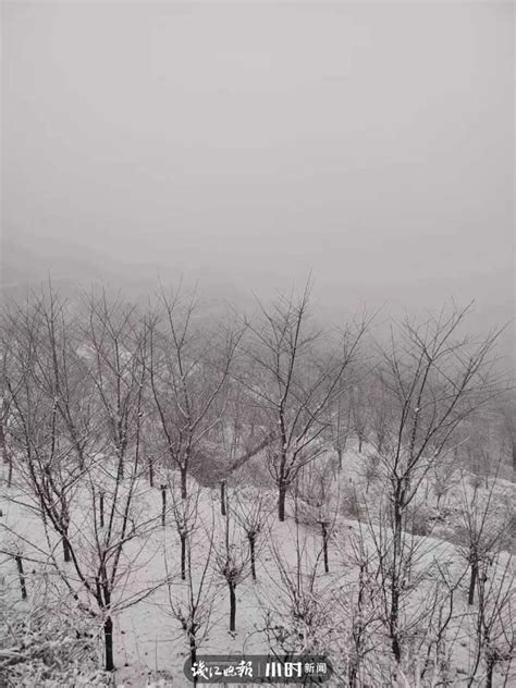 一片白茫茫的雪景高清图片下载-正版图片600495917-摄图网