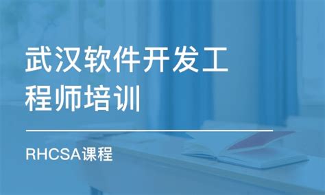 武汉的软件开发公司排名2018[最新]-网络营销SEO/SEM-致力于全行业软件开发服务(app、小程序、平台)-大刘信息