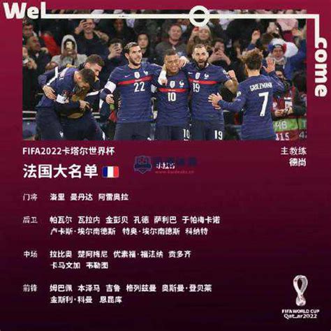法国队世界杯名单,2018年世界杯法国队大名单-LS体育号