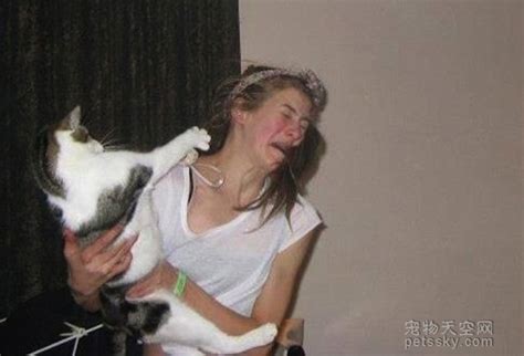 一个女人检查和照顾一只猫高清图片下载-正版图片505687382-摄图网