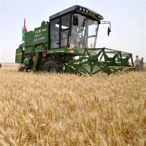 聚焦 | 全国麦收进度达4.8%|农机|农业农村部_新浪新闻