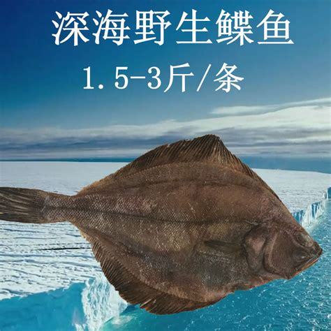 359.利牙鱼1水属性~冰冻牙原型:图片