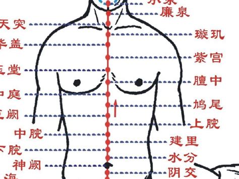 人体的经络位置图图片 人体的经络位置图图片