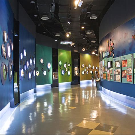展厅名字大全,展览馆创意名称,有创意的文化展厅名字_大山谷图库