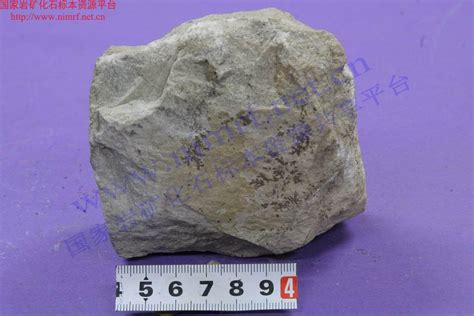 辉石岩_Pyroxenite_国家岩矿化石标本资源共享平台