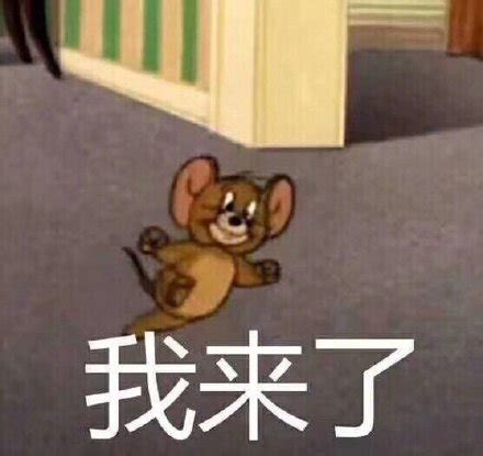 我来了我来了表情包图片