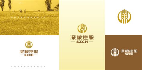东道设计_中储粮logo、VI设计|平面|品牌|东道momo - 原创作品 - 站酷 (ZCOOL)
