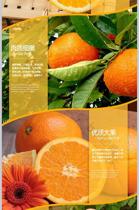 水果橙子详情模板效果图-包图网