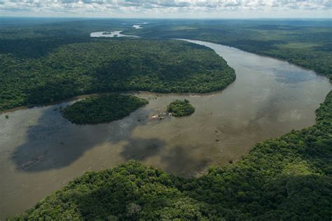 卫星照片显示亚马逊雨林水量年年降低 流失原因曝光-国际环保在线