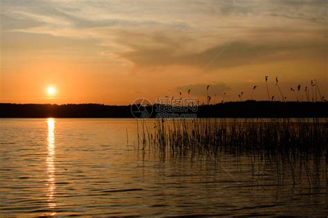 湖上美丽的金色日落草的黑色背影周高清图片下载-正版图片506162097-摄图网