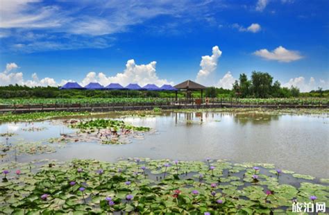 2020广州南沙湿地公园开放时间及游玩攻略_旅泊网