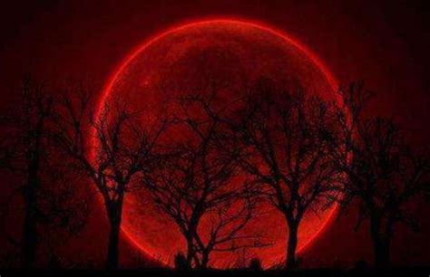 血月是如何形成的？月亮怎么是红色的 ？ | 说明书网
