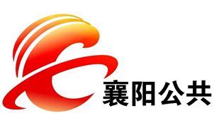 襄阳电视台公共频道直播在线观看「高清」
