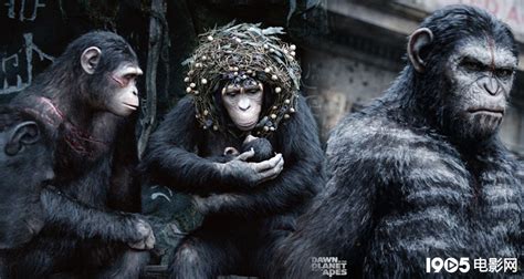 高分动作电影《猩球崛起》，猩猩和人类开战_腾讯视频