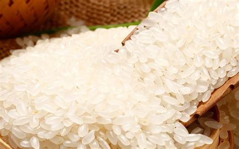 【大米专题】大米的功效与作用｜大米的营养价值｜大米的食用方法－菜瓢谷