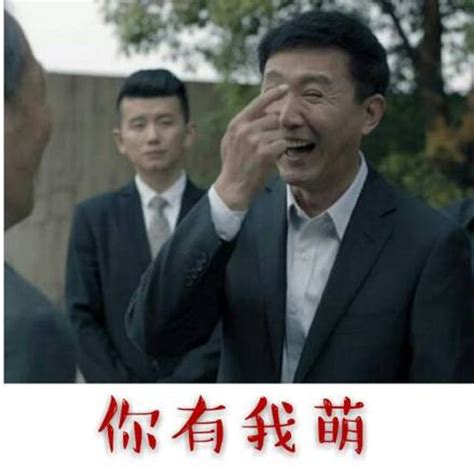 热播电视剧《人民的名义》系列表情包_[标签:标题1]