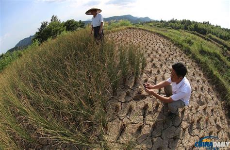 中国历史上的旱灾：死亡人数处于诸灾之首_湖北频道_凤凰网