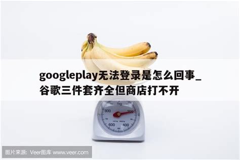 GooglePlay下载 -GooglePlay商店app下载-沧浪手游