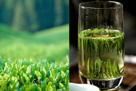 【红茶】【图】红茶和绿茶的区别有什么 喝茶禁忌需谨记_伊秀健康|yxlady.com