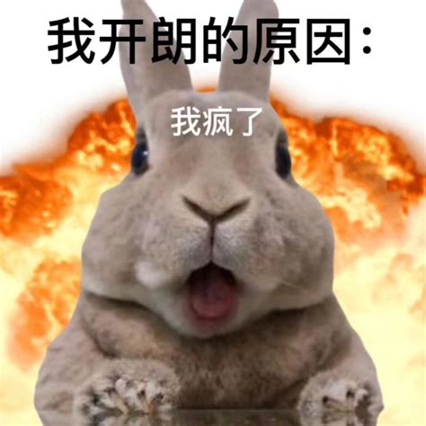 猹表情包图片