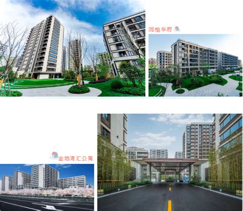 未来五年杭州公租房将不少于8万套 都分布在哪？——浙江在线