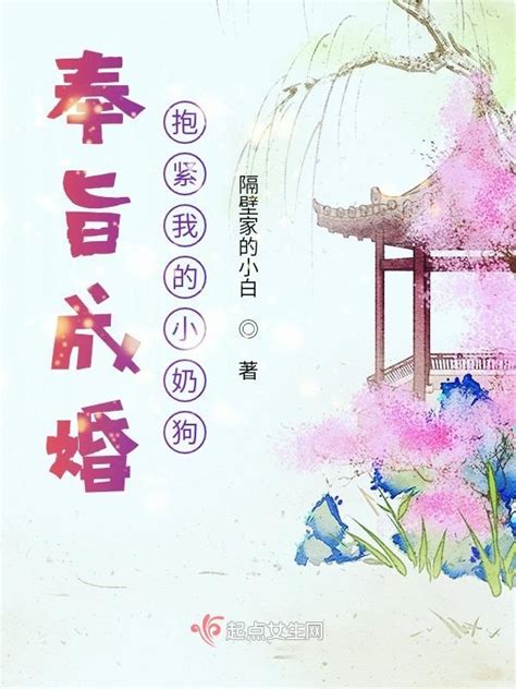 《奉旨成婚，抱紧我的小奶狗》小说在线阅读-起点中文网