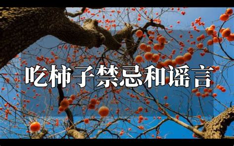 秋季饮食营养香甜柿子饼摄影图配图高清摄影大图-千库网