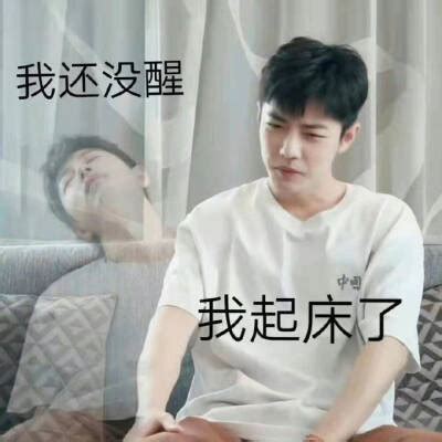 肖战表情包晚安图片