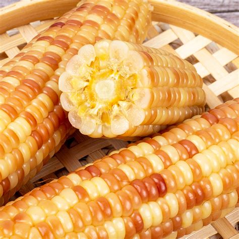 玉米多少钱一斤？附玉米价格行情走势分析 - 惠农网