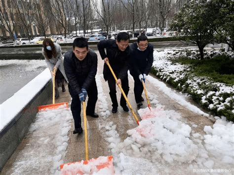 市机关事务服务中心组织干部职工开展扫雪活动_积雪