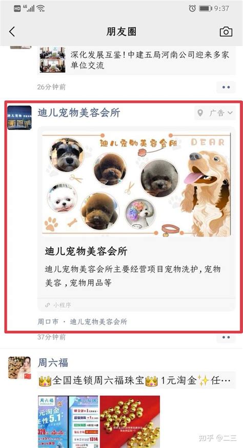 网络公司推广APP轻应用图片下载_红动中国