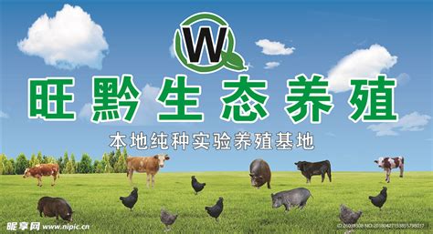 生态养殖banner，农家乐banner，虫子鸡广告，蔬菜广告|网页|Banner/广告图|Vikki一一 - 原创作品 - 站酷 (ZCOOL)