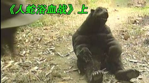 “中国月亮熊”世上最悲惨的动物 | 取消活熊取胆产业 - 知乎