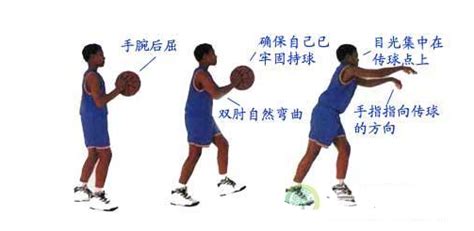 篮球技巧的目录_
