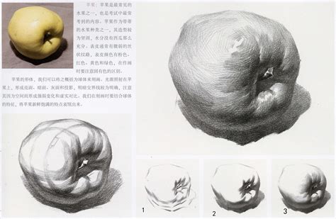 水果素描图片