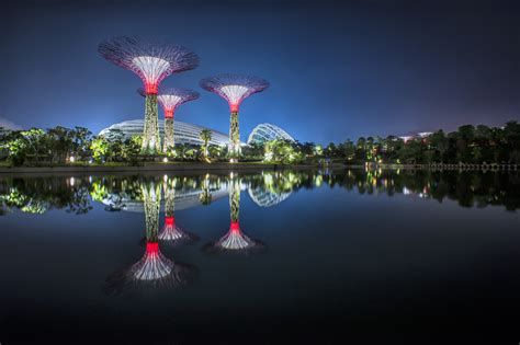 新加坡滨海湾公园超级树的迷人灯光秀|海湾公园|新加坡|灯光秀_新浪新闻