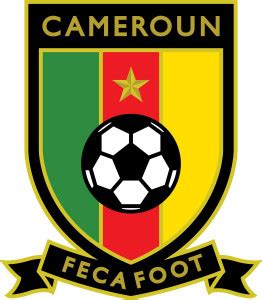 2022世界杯喀麦隆国家队阵容表（最新名单）_球天下体育