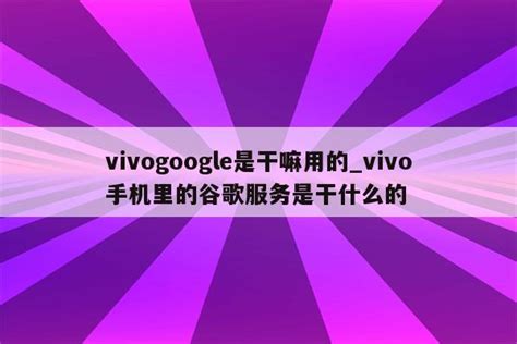 vivogoogle是干嘛用的_vivo手机里的谷歌服务是干什么的 - 注册外服方法 - APPid共享网