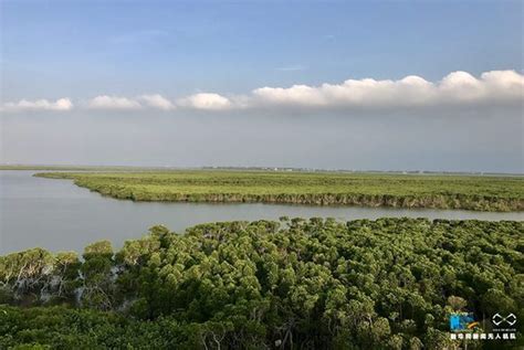 俯瞰“中国最美内海”红树林潮水中荡漾|红树林|潮水|钦州市_新浪新闻