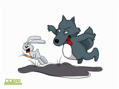 狼和兔子的爆笑喜剧，让人印象深刻的“兔子，等着瞧”|等着瞧|狼|动画_新浪新闻