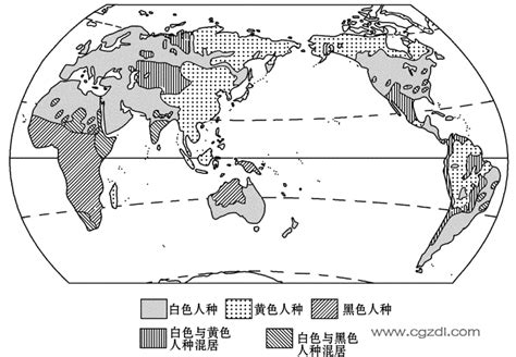 世界人种分布图_世界地理地图_初高中地理网